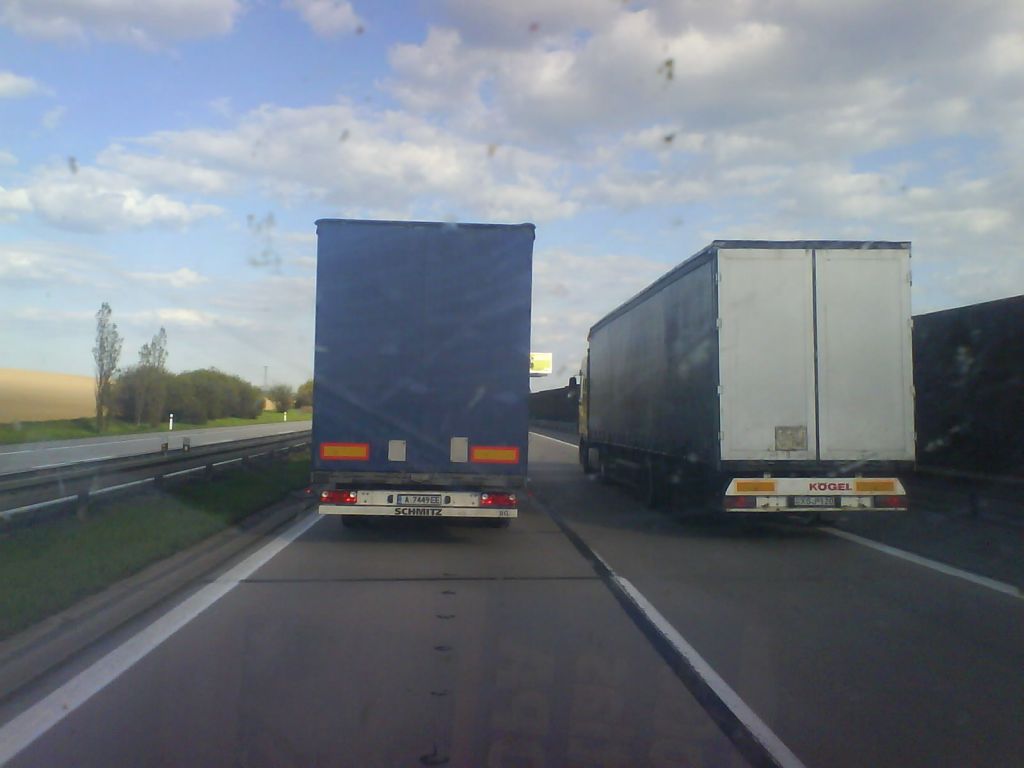 16951493-31980553.jpg