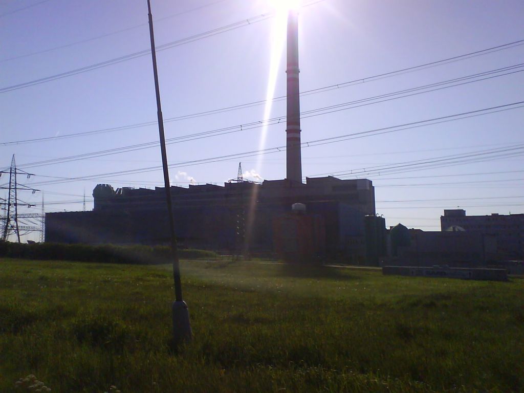 16951493-31981668.jpg